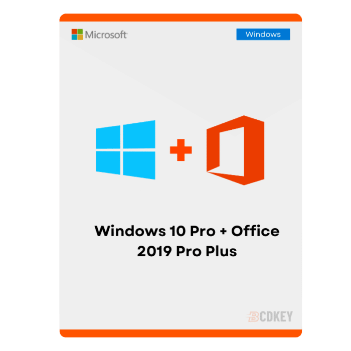 Copy of Windows 10 Professional