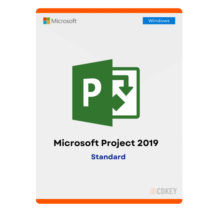 project 2019 standerd 2